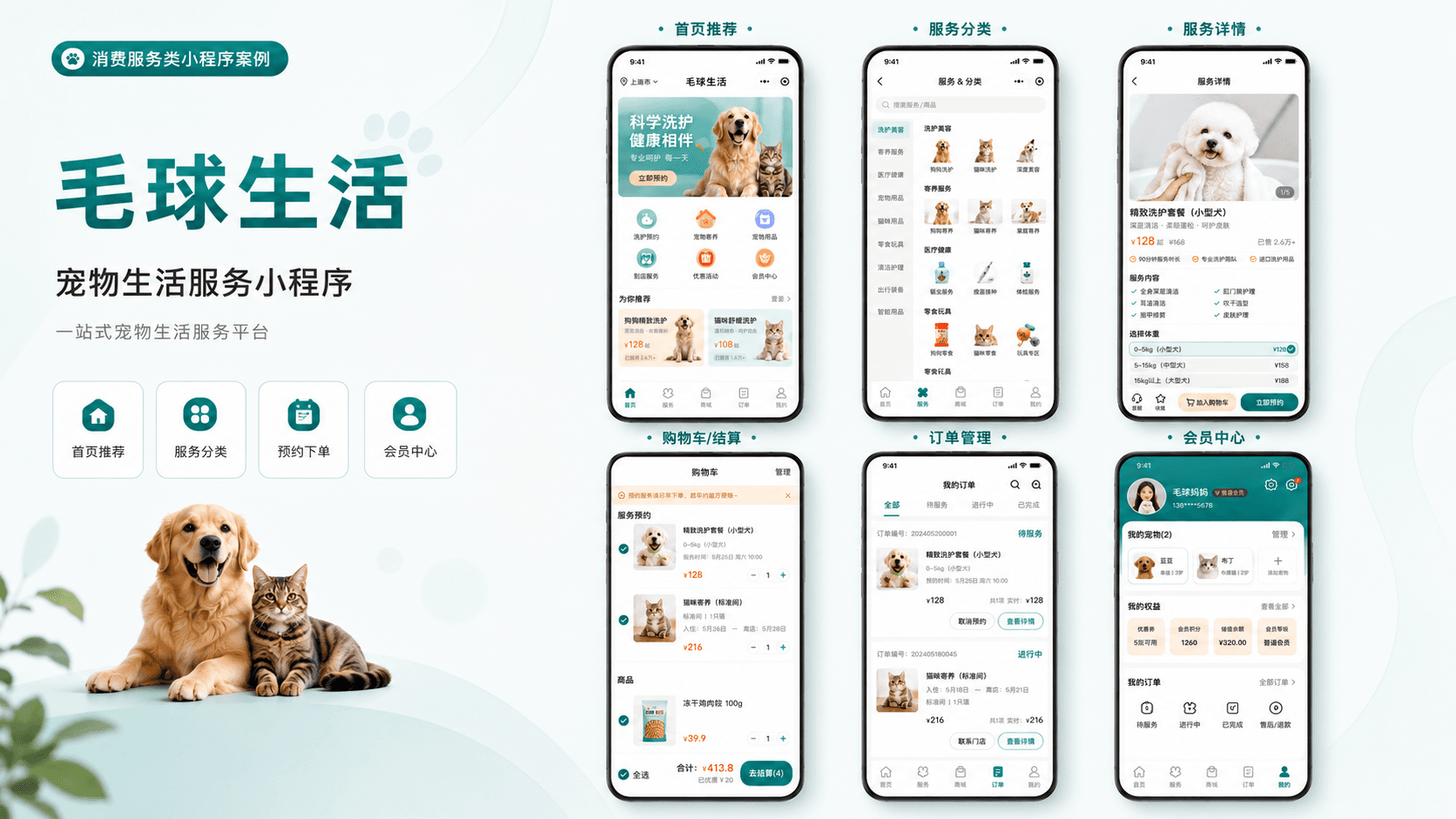 毛球生活宠物服务小程序案例案例主视觉